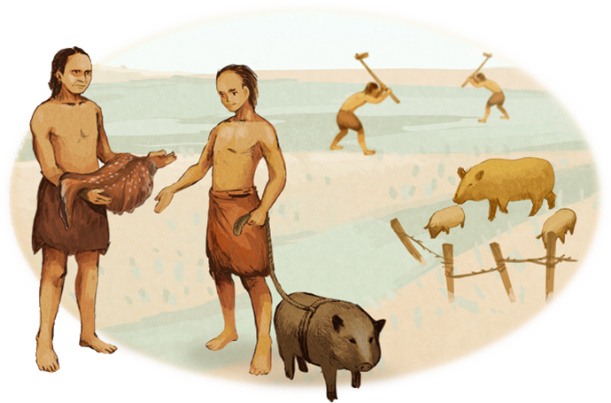 遠古人類以物易物