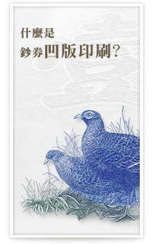 什麼是鈔券凹版印刷？